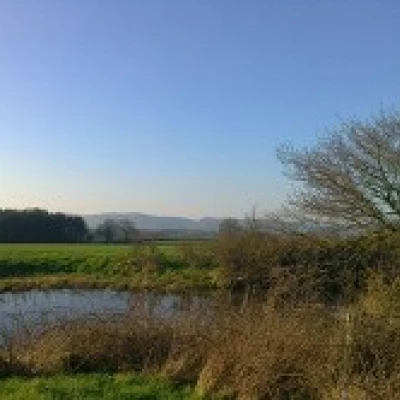 bulkeley  ridley   countryside 1
