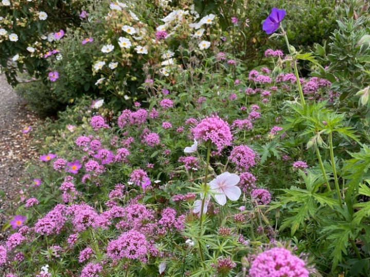 c8e5bce82db543fd8dfda6cfe8f52ccd