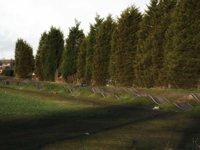 cannock pump track trees