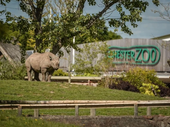 chester-zoo