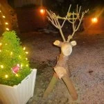 christmas reindeer