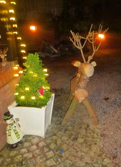 christmas reindeer