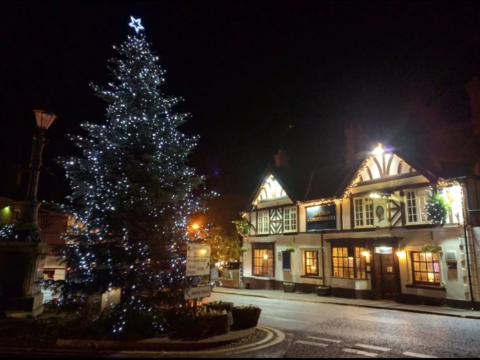 christmas tree and lord c