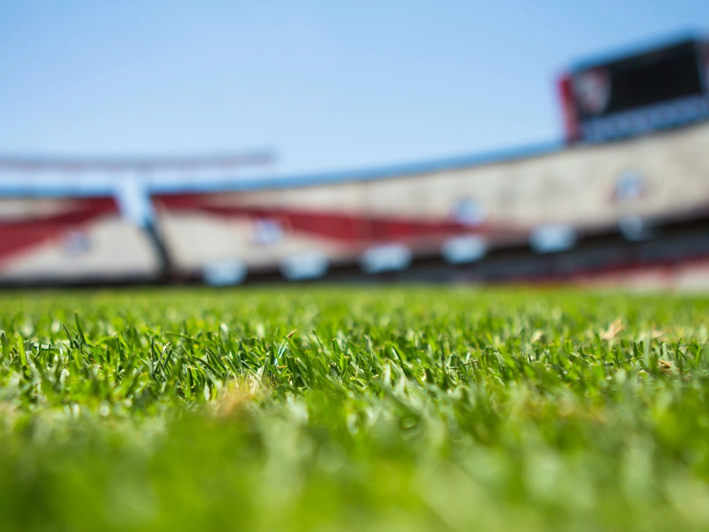 closeup of grass with a blurred stadium background under a clear sky