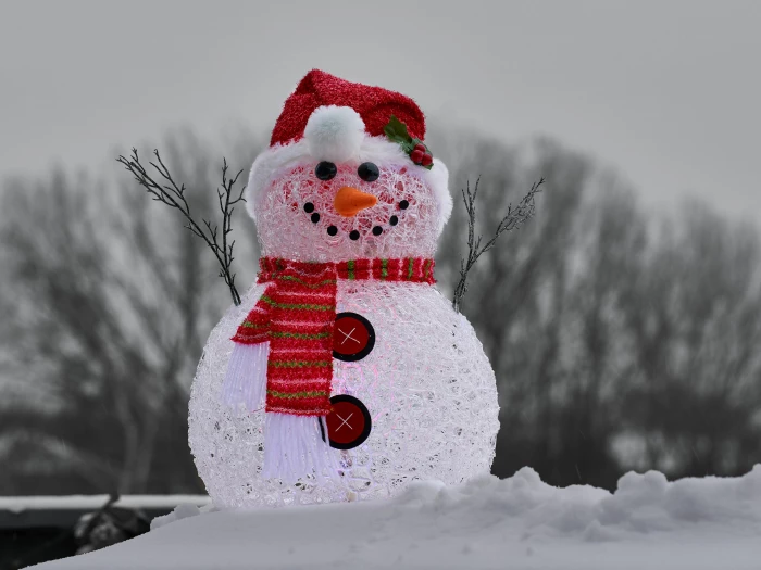 closeup photography of snowman