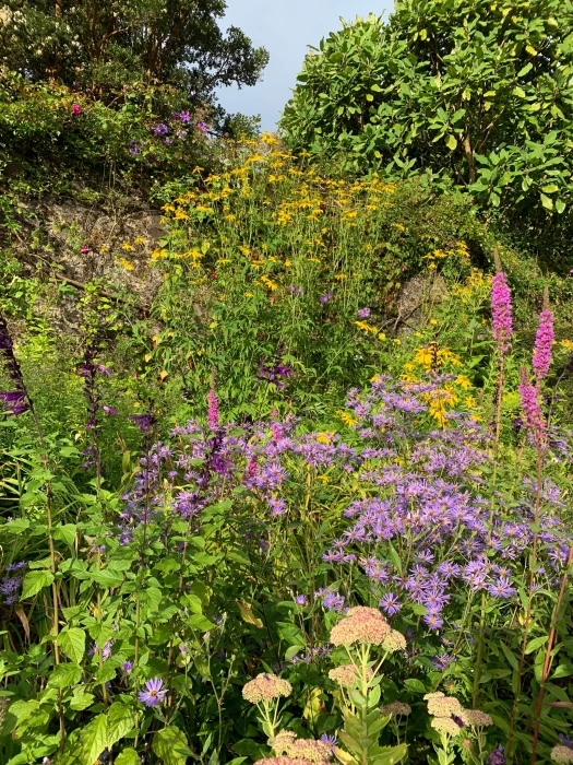 colour pallette