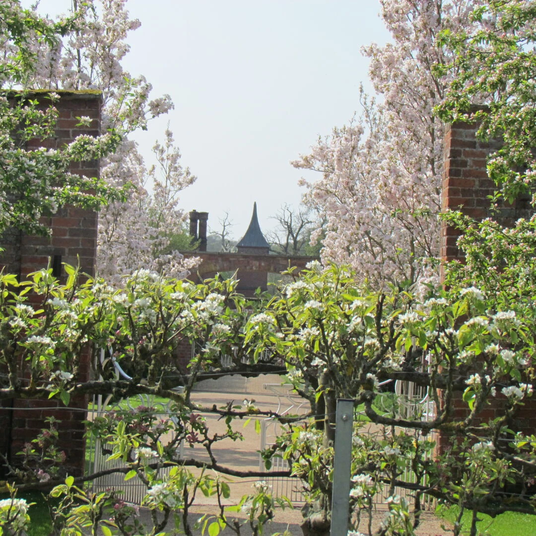 combermere 3