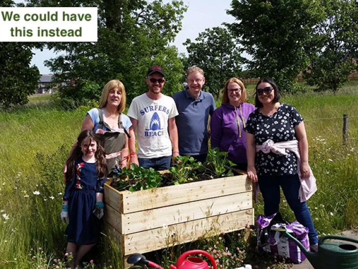 community planter