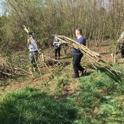 coppice 1