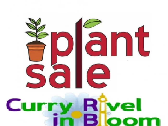 crib plant sale
