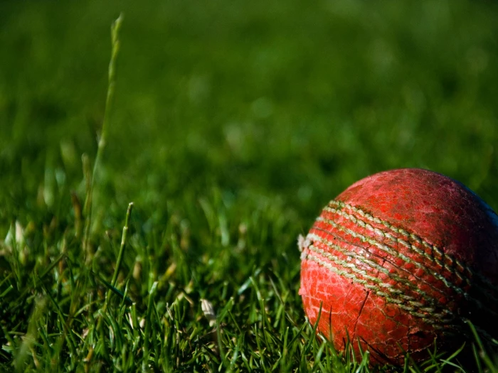 cricket ball