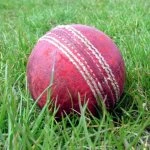 cricket cricket ball sport
