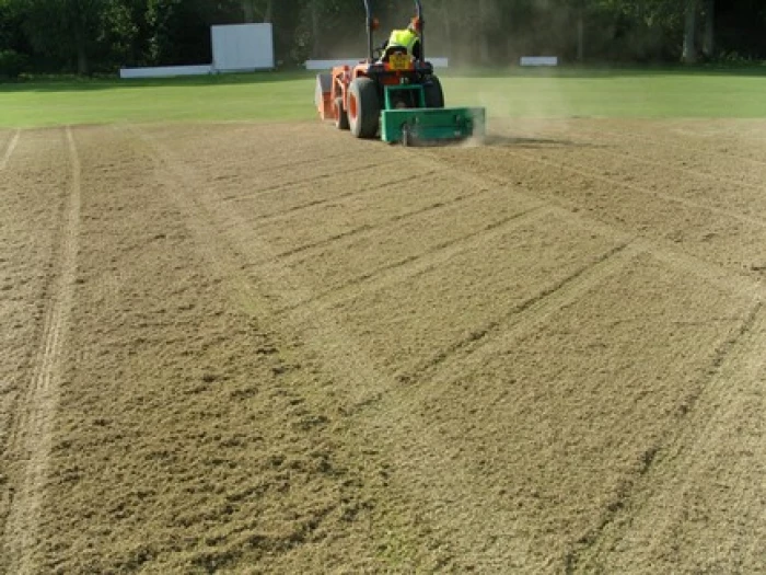 cricket end of season