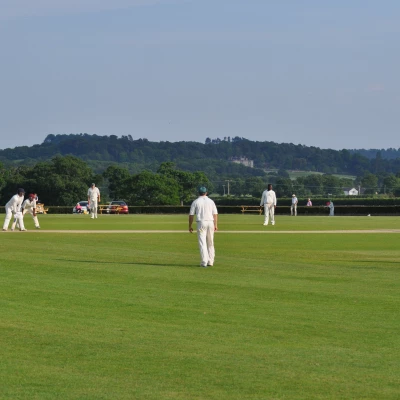 cricket home
