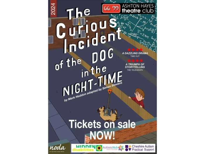 curios incident of dog in night time