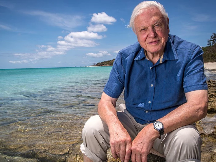 david attenborough