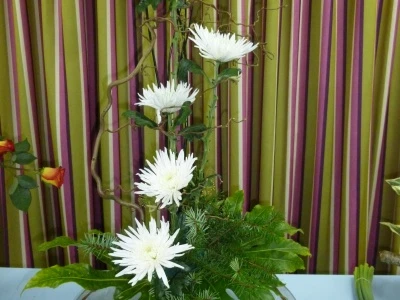 design 3