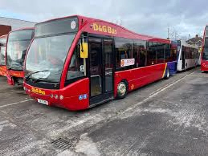 dg bus
