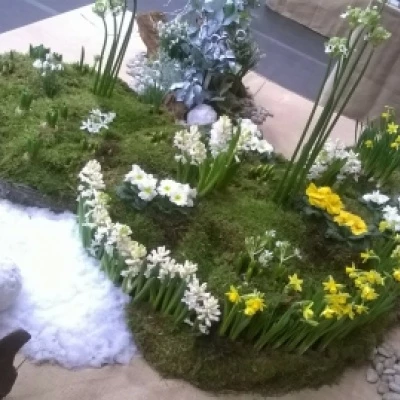 display 2