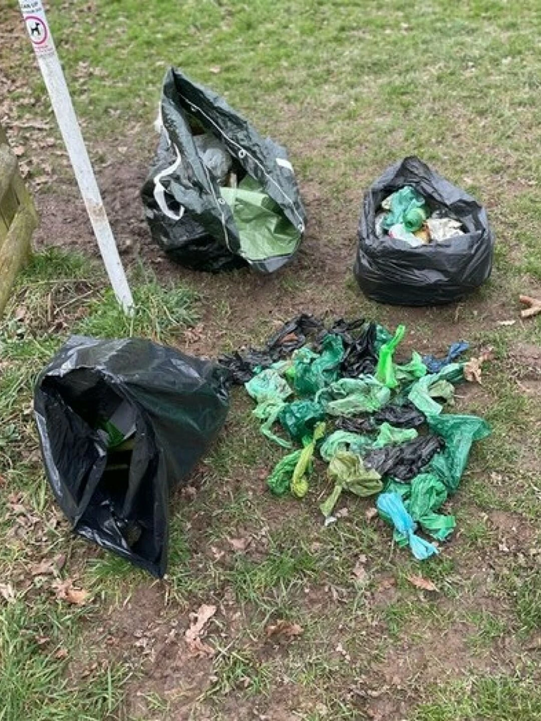 dog poo jubilee wood