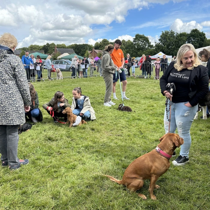 dog show 5