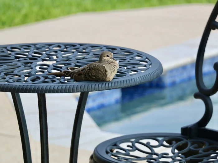 dove bird patio furniture