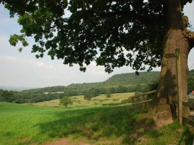 dsc7654 1000