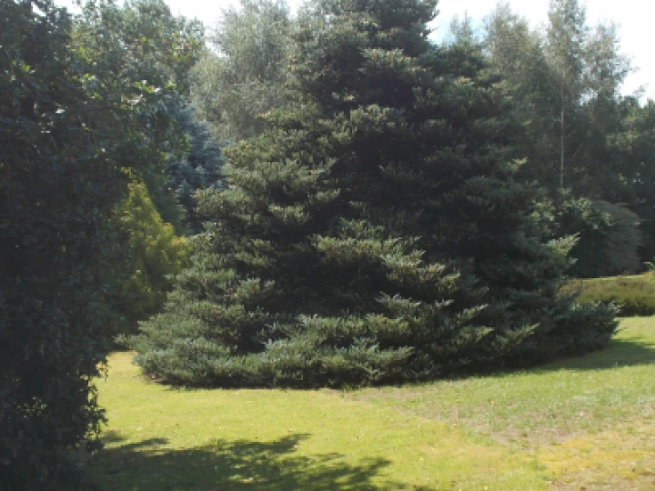 dscn0077