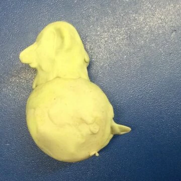 ducks