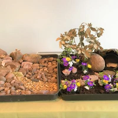 easter barton 4