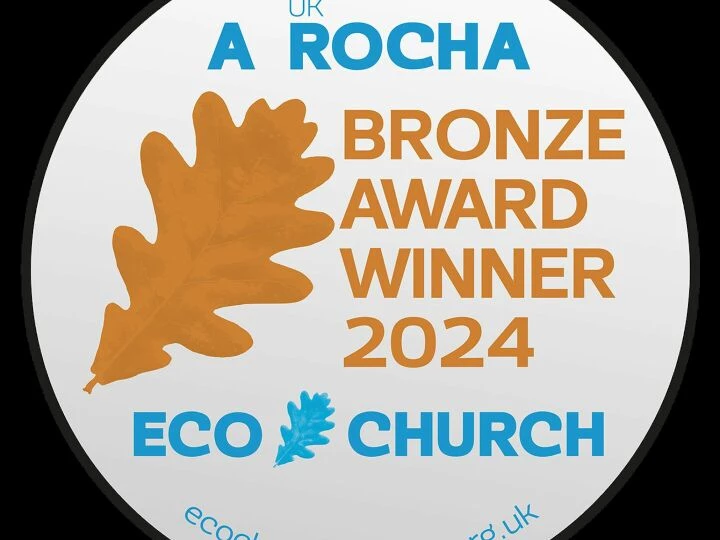 ecawardbuttons2024bronze