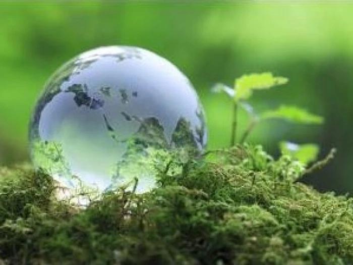eco church