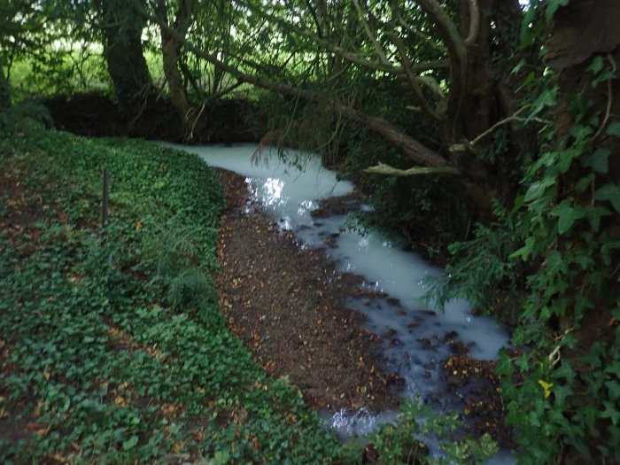 environment agency river pollution
