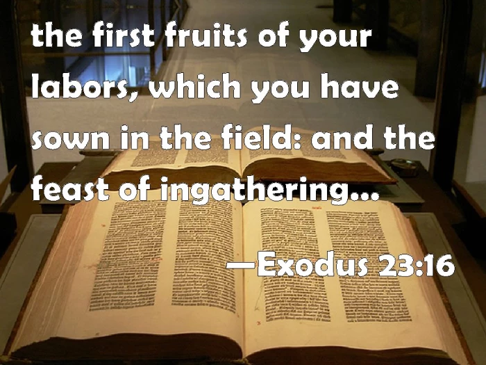 exodus 2316