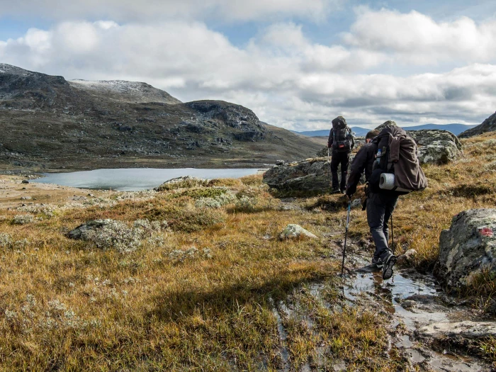 exploration and mountain climbing