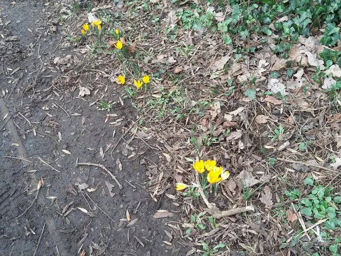 february 20190213115709resized