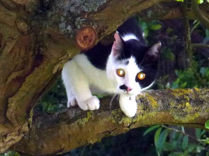fionaquinnmoggy 03