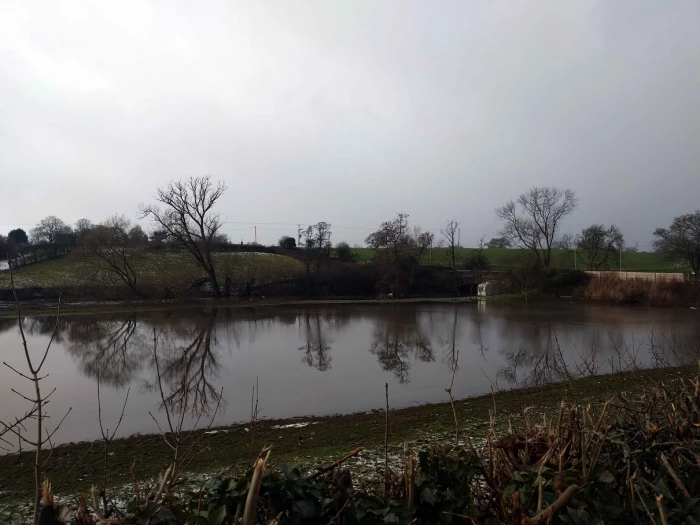 flooded river weaver mirror image