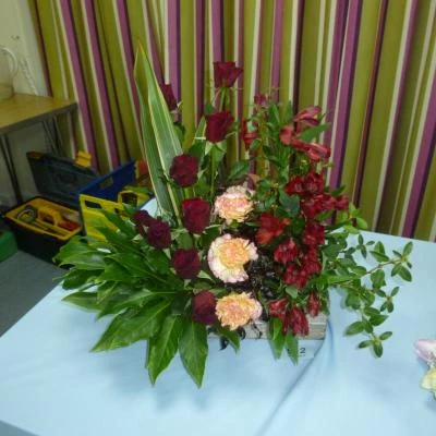 flower 3 feb