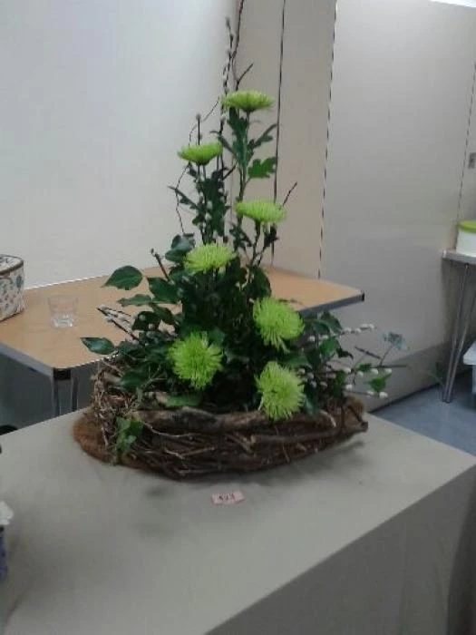 flower club may 2017  201705102123434 1