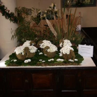 flower show11
