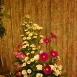 flowers 005