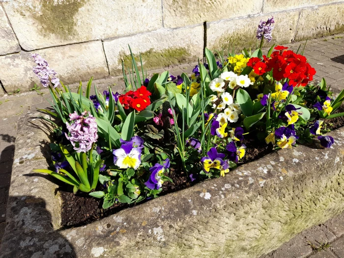 flowers 4