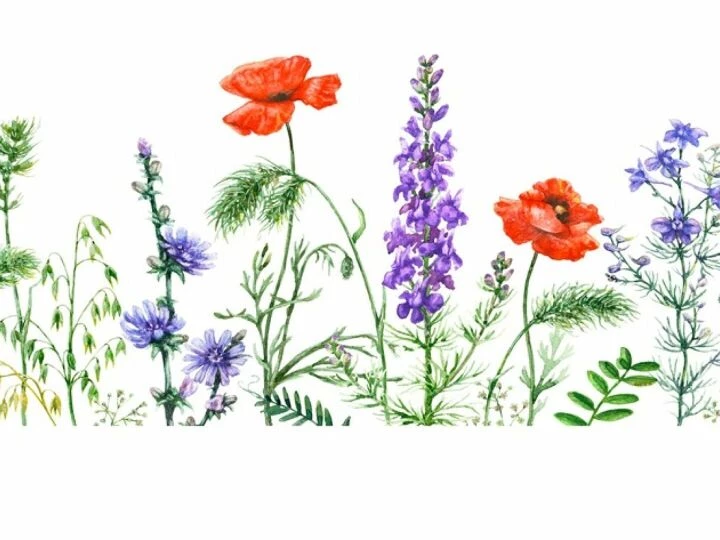 flowers