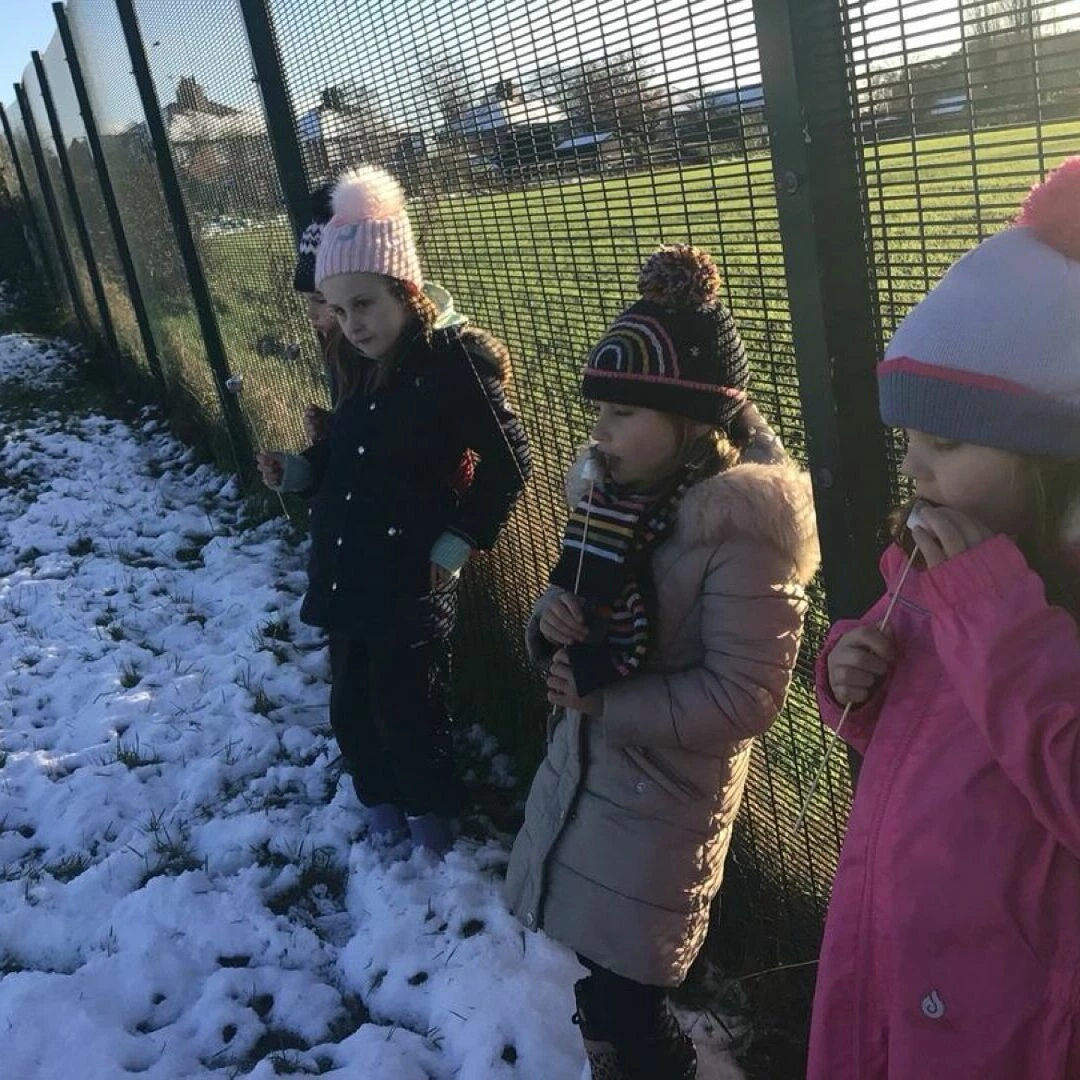forest school
