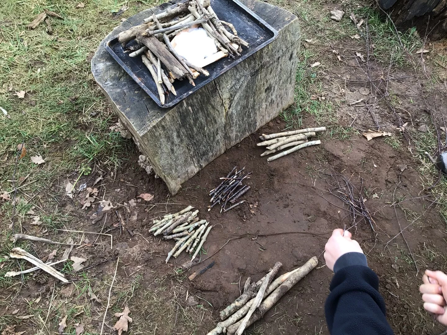forest schools