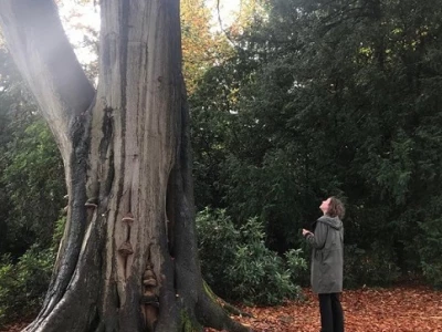 forrest bathing at tatton