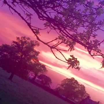 fullsizerender4m168848