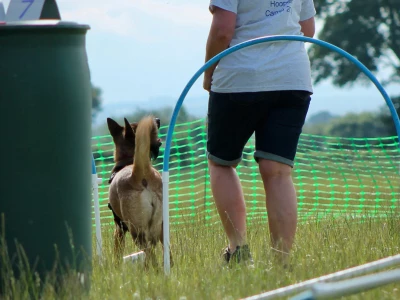 gail and holly on course