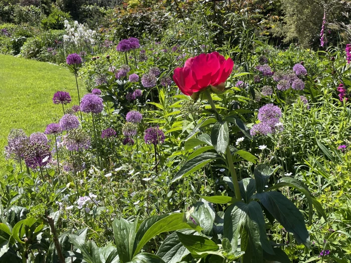 garden may24